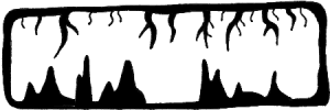 Below the Roots