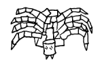 tin spider conspirator