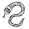 aquaconda
