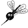 Mosquito