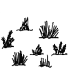 Drawing Lots