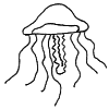 Jellyfish Vision