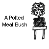 A Potted Meat Bush