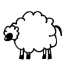 ewe