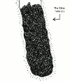 The Slime Tube