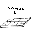 A Wrestling Mat