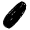 sea cucumber