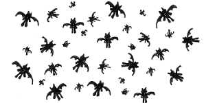 Flock of Groars?