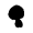gloomy black mushroom