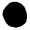 teflon shield