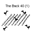 The Back 40