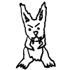 feral bunny