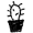 potted cactus