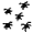 Great Wolf's lice