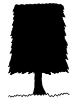 Treebasing
