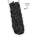 Thumbnail for version as of 02:03, 4 September 2025
